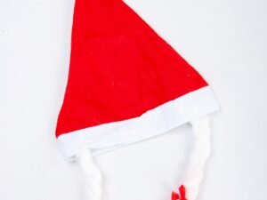 img_1320 Christmas Hat with Braids