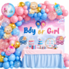Boy or Girl Gender Reveal Decoration Theme Set
